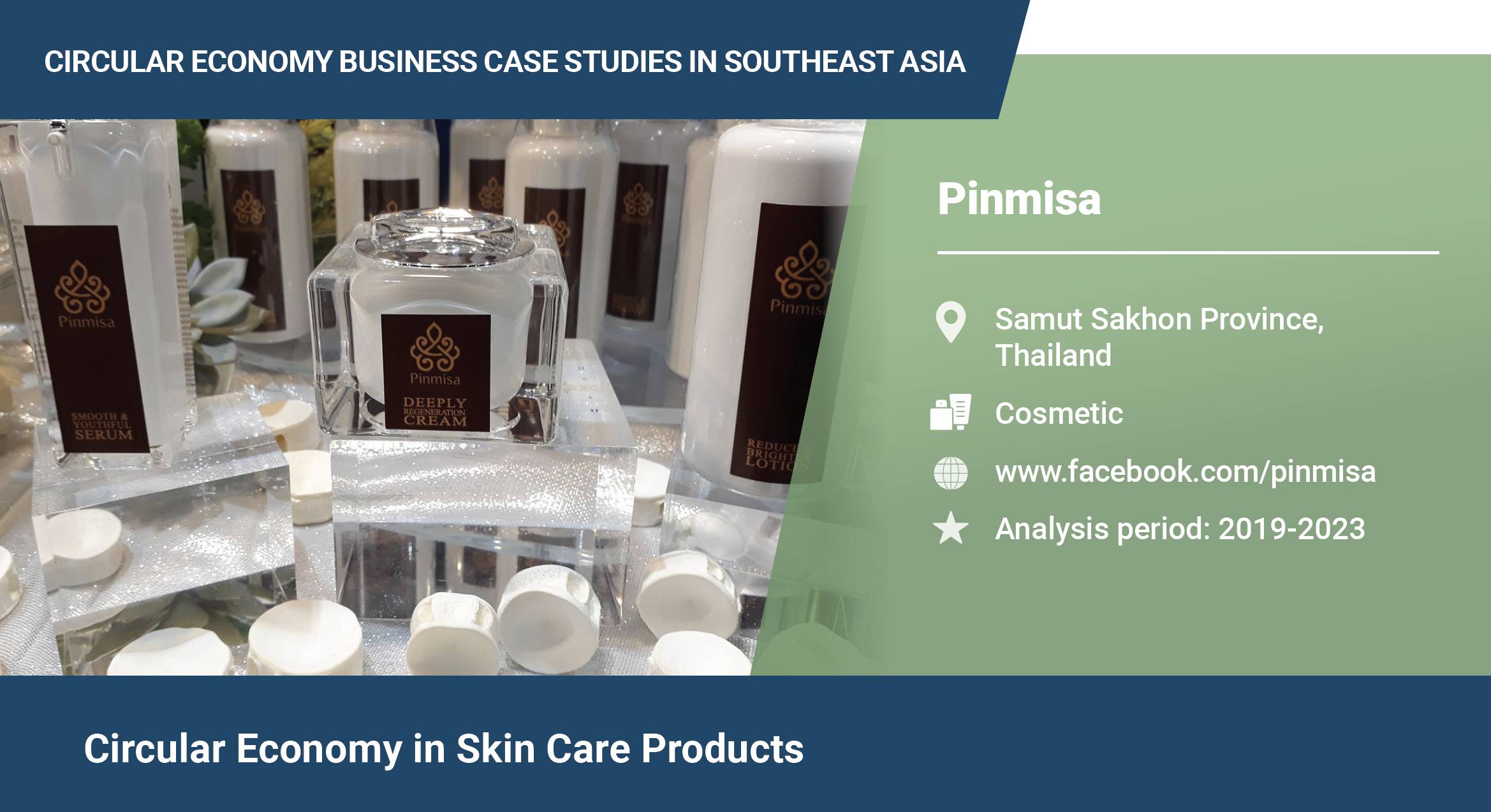 Pinmisa4210