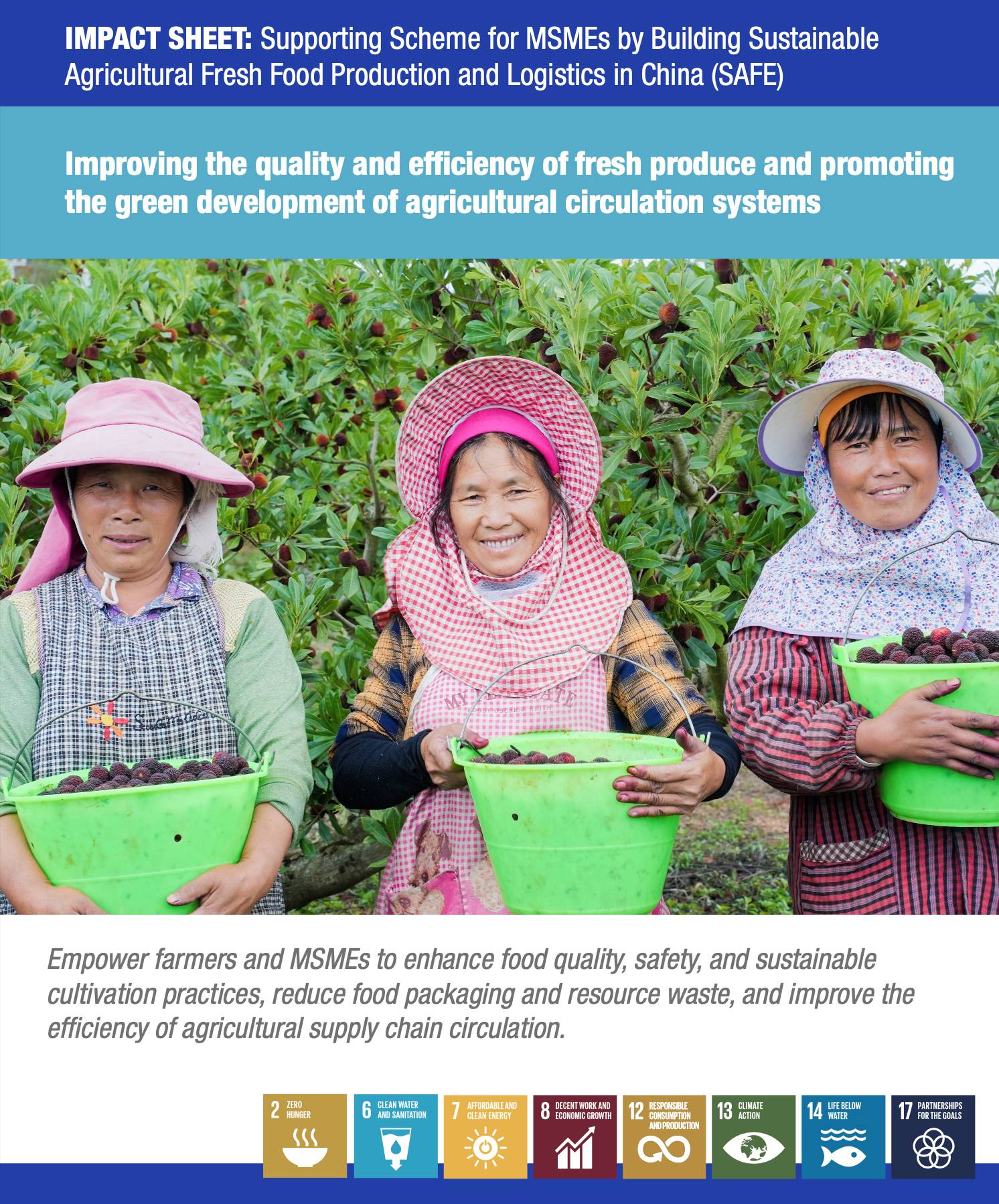 Impact Sheet: Supporting Scheme for MSMEs by Building Sustainable Agricultural Fresh Food Production and Logistics in China (SAFE)
