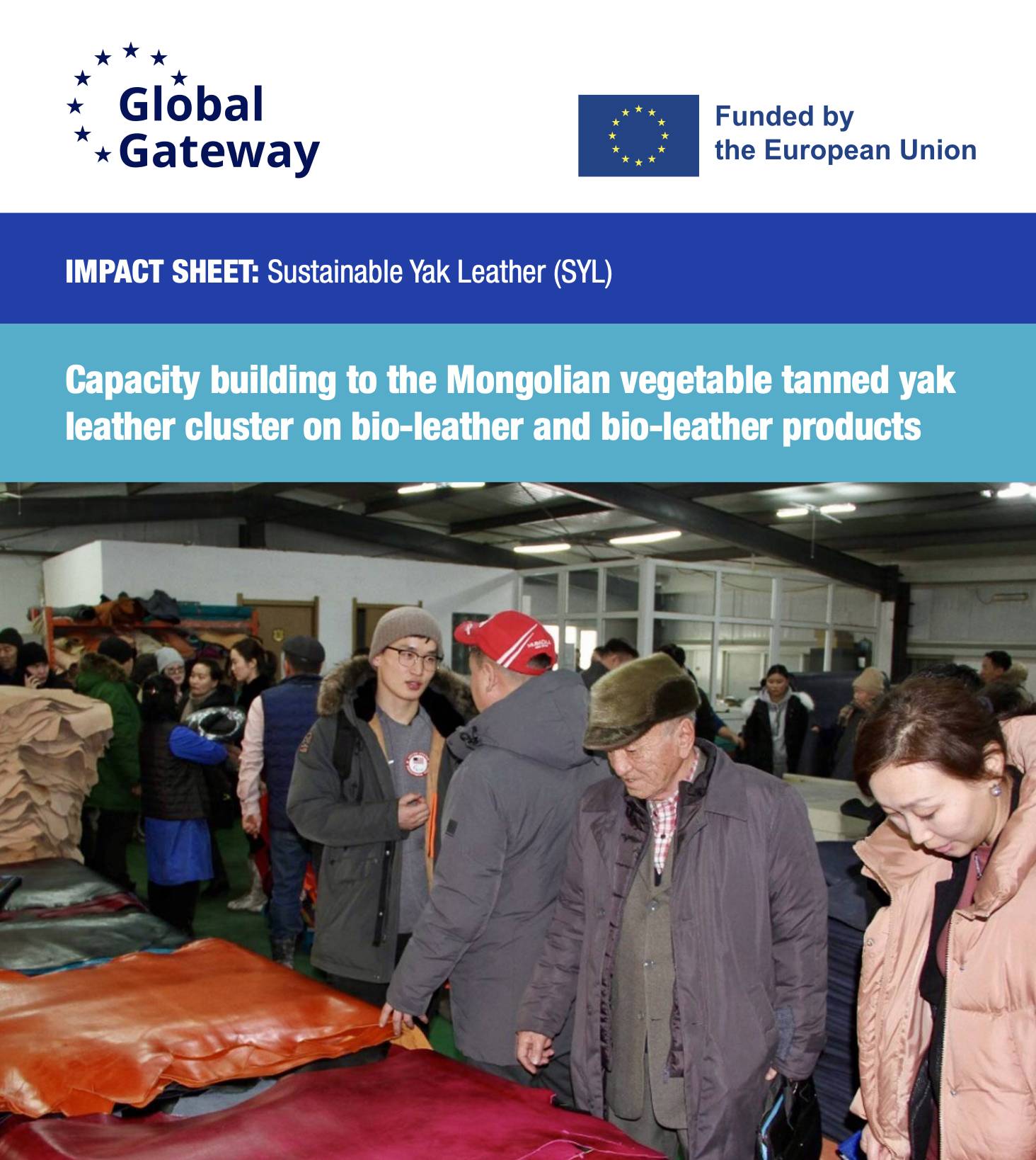 Impact Sheet: Capacity building to the Mongolian vegetable tanned yak leather cluster on bio-leather and bio-leather products