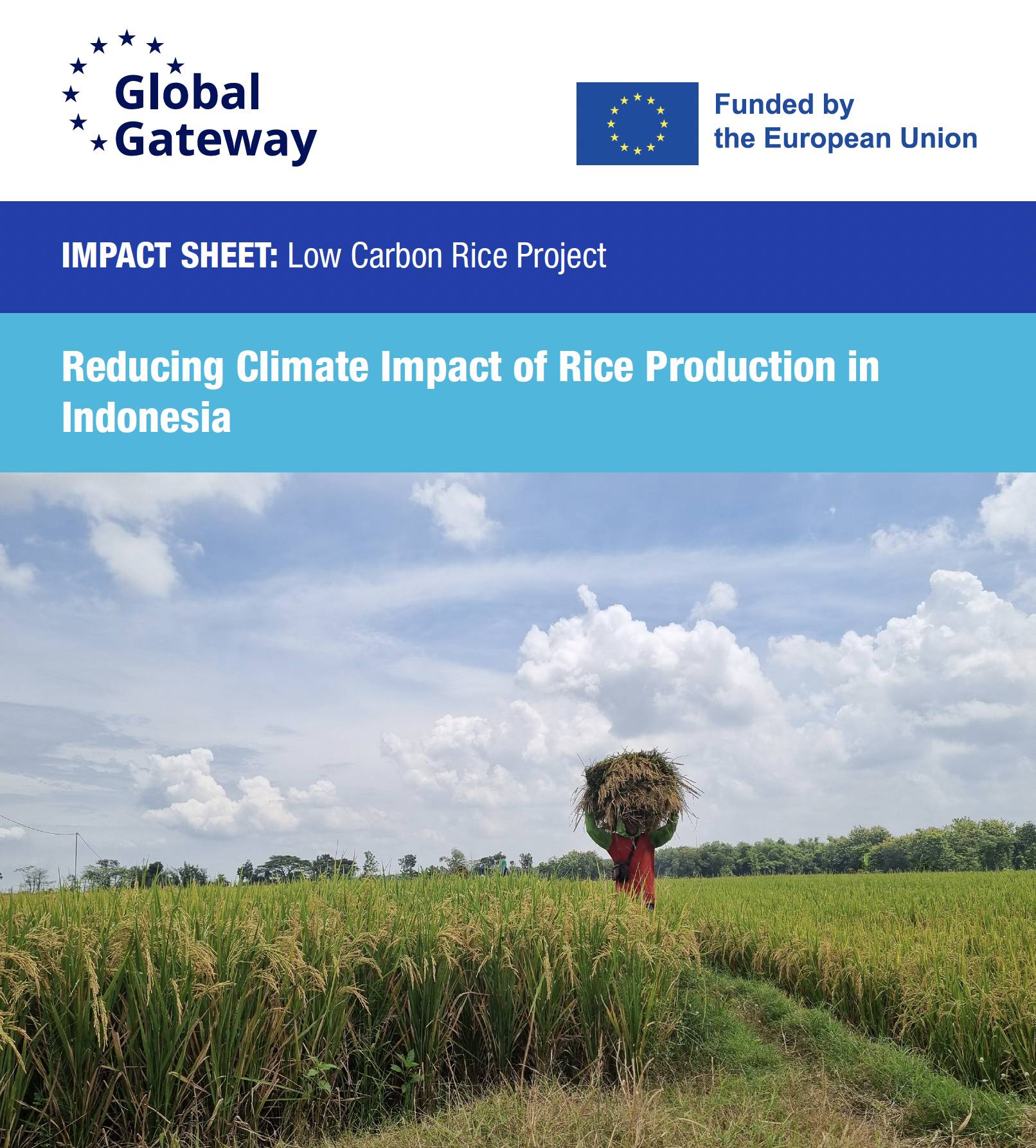 Impact Sheet: Low Carbon Rice