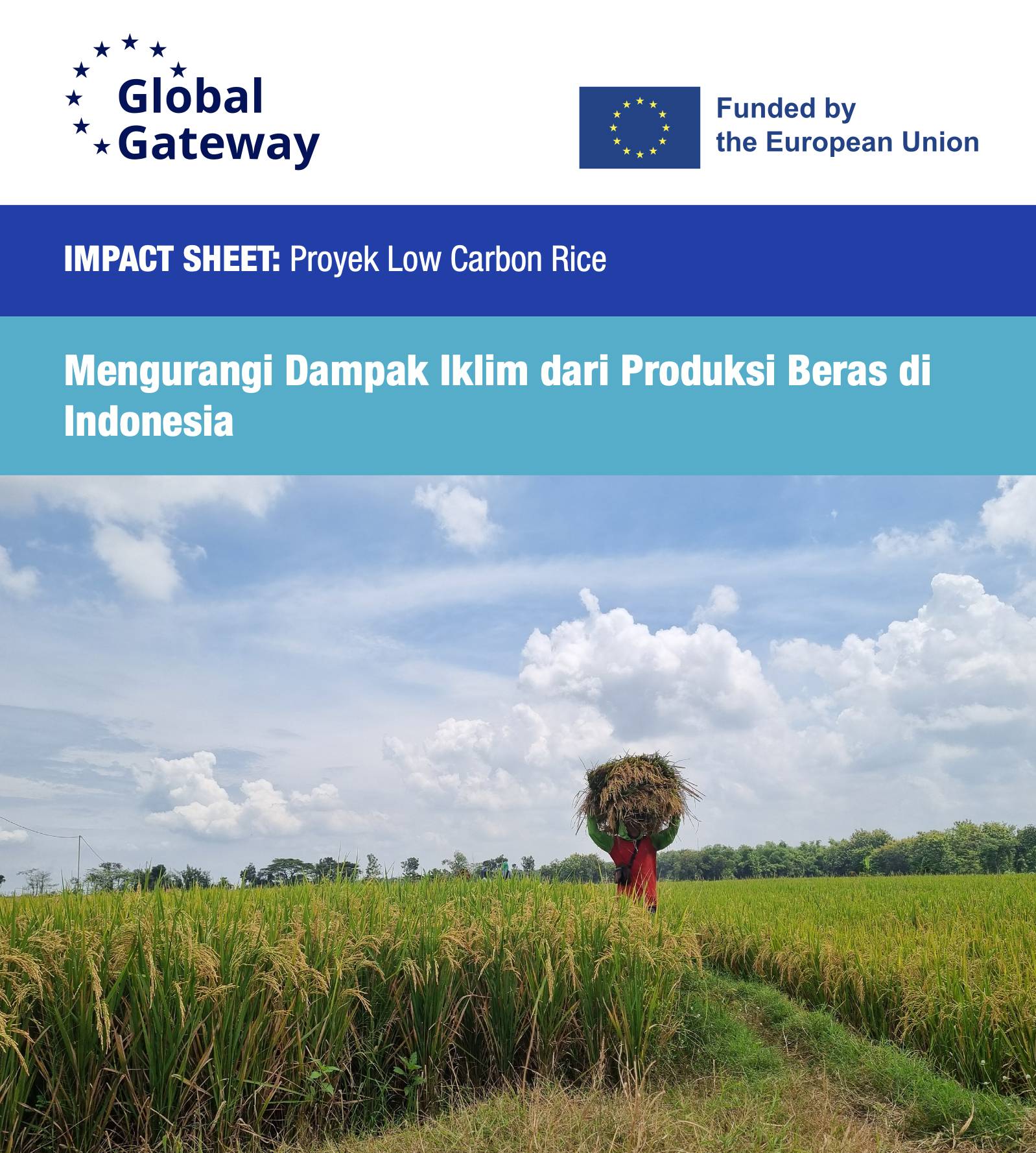 Impact Sheet: Low Carbon Rice (Bahasa Indonesia)