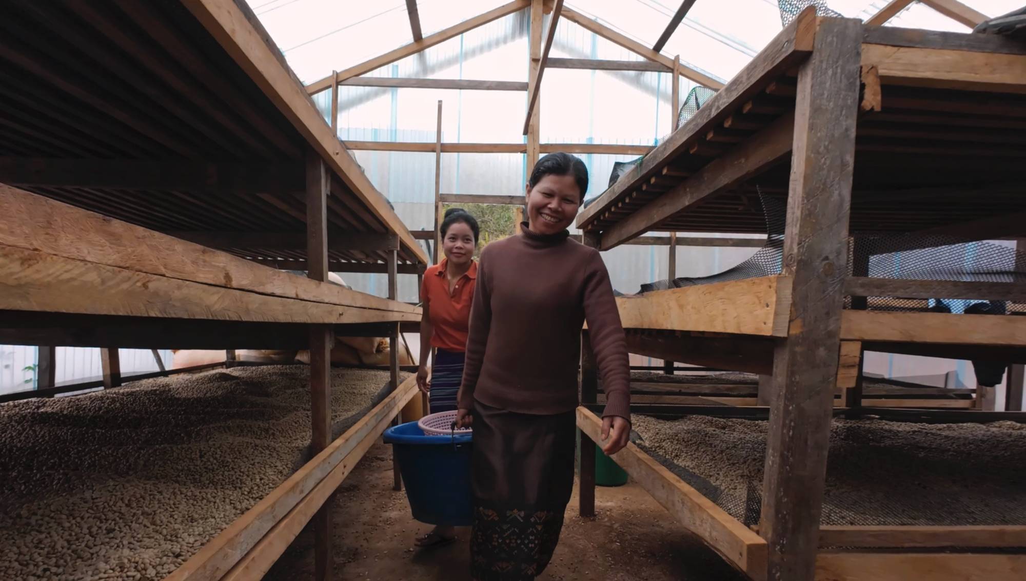 SuPER WE Coffee: Building Sustainable and Women-Empowered Coffee Value Chains in Lao PDR